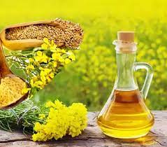 Mustard Oil