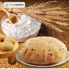 Wheat Flour